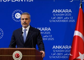 فيدان: مصر أكبر شريك تجاري لتركيا في إفريقيا