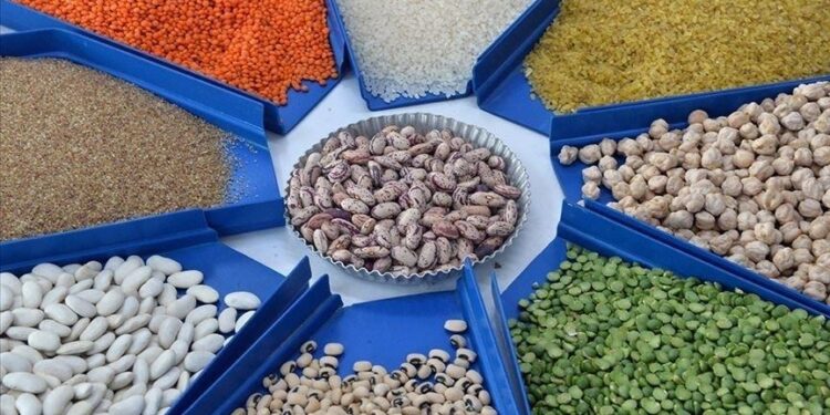 صادرات تركيا من الحبوب والبقوليات تتجاوز 10 مليارات دولار