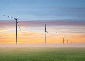 مسؤول دولي: تركيا أحرزت تقدما كبيرا في استثمارات الطاقة المتجددة