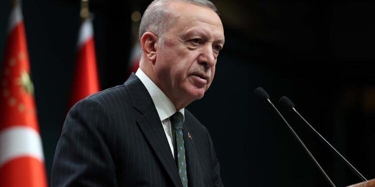 أردوغان: طريق السلام العادل والدائم في غزة يمر بتنفيذ حل الدولتين