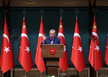 أردوغان: تركيا أعطت للعالم درسا في حقوق الإنسان