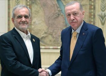 الرئيس أردوغان يبحث مع بزشكيان العلاقات الثنائية وقضايا إقليمية