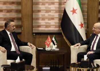 السفير التركي في دمشق يلتقي وزير النقل السوري