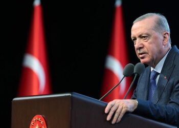 أردوغان: نناضل من أجل ترسيخ الاستقرار بالمنطقة وما بعدها