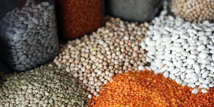 صادرات تركيا من الحبوب والبقوليات تتجاوز 12 مليار دولار في 2025