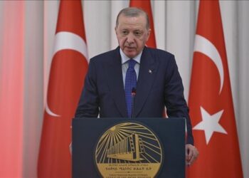 أردوغان: يجب عدم تحويل القرن الإفريقي إلى ساحة صراع لقوى أجنبية