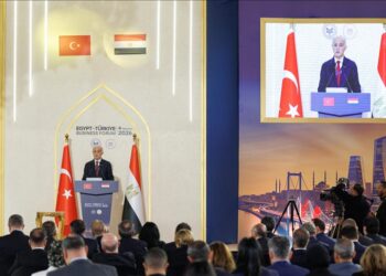 منتدى الأعمال المصري التركي يجمع رجال أعمال البلدين في القاهرة