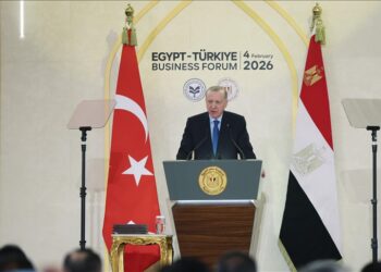 الرئيس أردوغان: التعاون بين تركيا ومصر يساهم في استقرار المنطقة