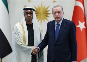 الرئيس أردوغان يبحث مع نظيره الإماراتي فرص التعاون وتعزيز العلاقات