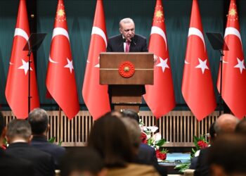 أردوغان: هدفنا الأول إبقاء بلدنا بمنأى عن الحريق في المنطقة