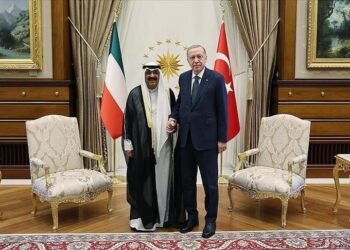 الرئيس أردوغان: تركيا تدعم حل الأزمات دبلوماسيا