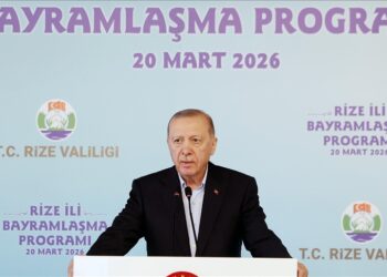 أردوغان: نحشد كل إمكاناتنا لتحقيق السلام والاستقرار بالمنطقة