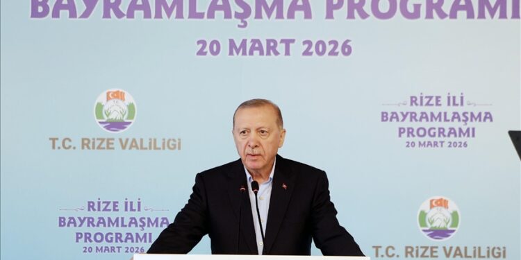 أردوغان: نحشد كل إمكاناتنا لتحقيق السلام والاستقرار بالمنطقة