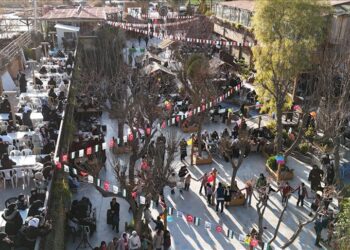 "الإغاثة الإنسانية" التركية تنظم فعاليات للأيتام في مدن سورية