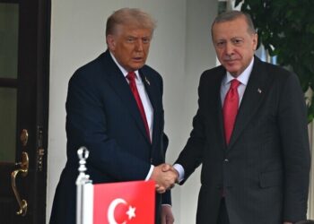 أردوغان لترامب: سنواصل دعم المبادرات البنّاءة لحل قضايا المنطقة