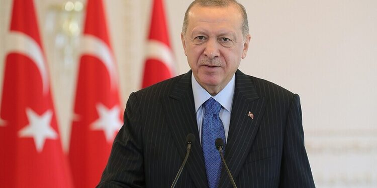 الرئيس أردوغان يحتفي بـ"يوم إفريقيا" الموافق 25 مايو