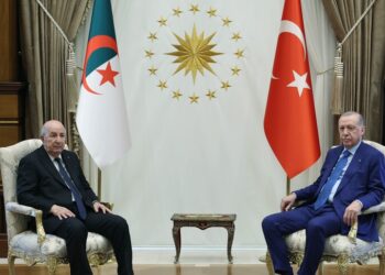 أردوغان: مصممون على تطوير تعاوننا مع الجزائر في عدة مجالات استراتيجية