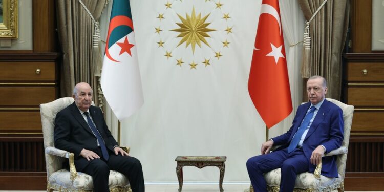 أردوغان: مصممون على تطوير تعاوننا مع الجزائر في عدة مجالات استراتيجية