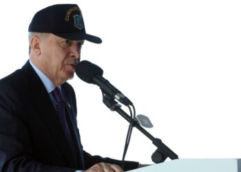 أردوغان: الجيش التركي أهم ضمان للسلام إقليميا وعالميا